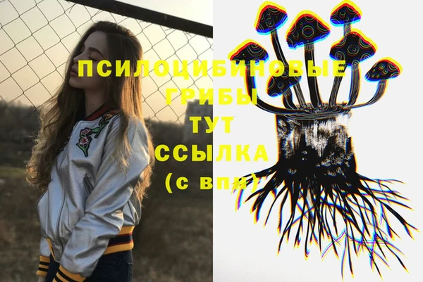 МДПВ Заводоуковск