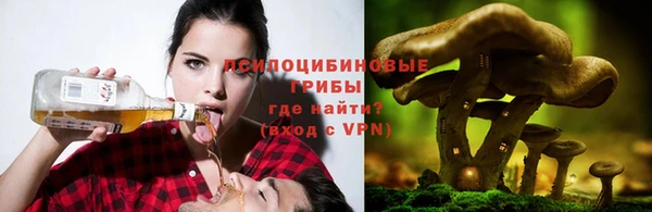 spice Заволжье