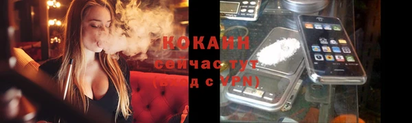 МДПВ Заводоуковск