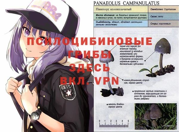 spice Заволжье