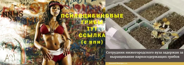 spice Заволжье