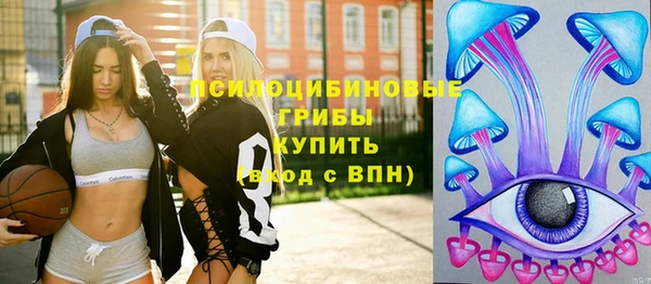 МДПВ Заводоуковск