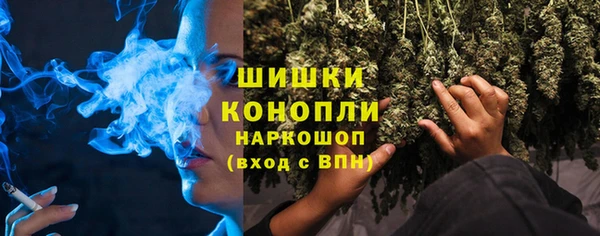 МДПВ Заводоуковск