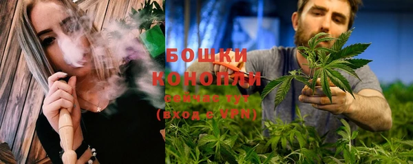 МДПВ Заводоуковск