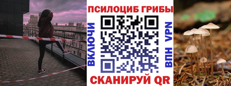 Псилоцибиновые грибы GOLDEN TEACHER  Купить  Горнозаводск 