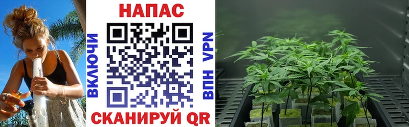 МАРИХУАНА планчик  Купить где  Горнозаводск 